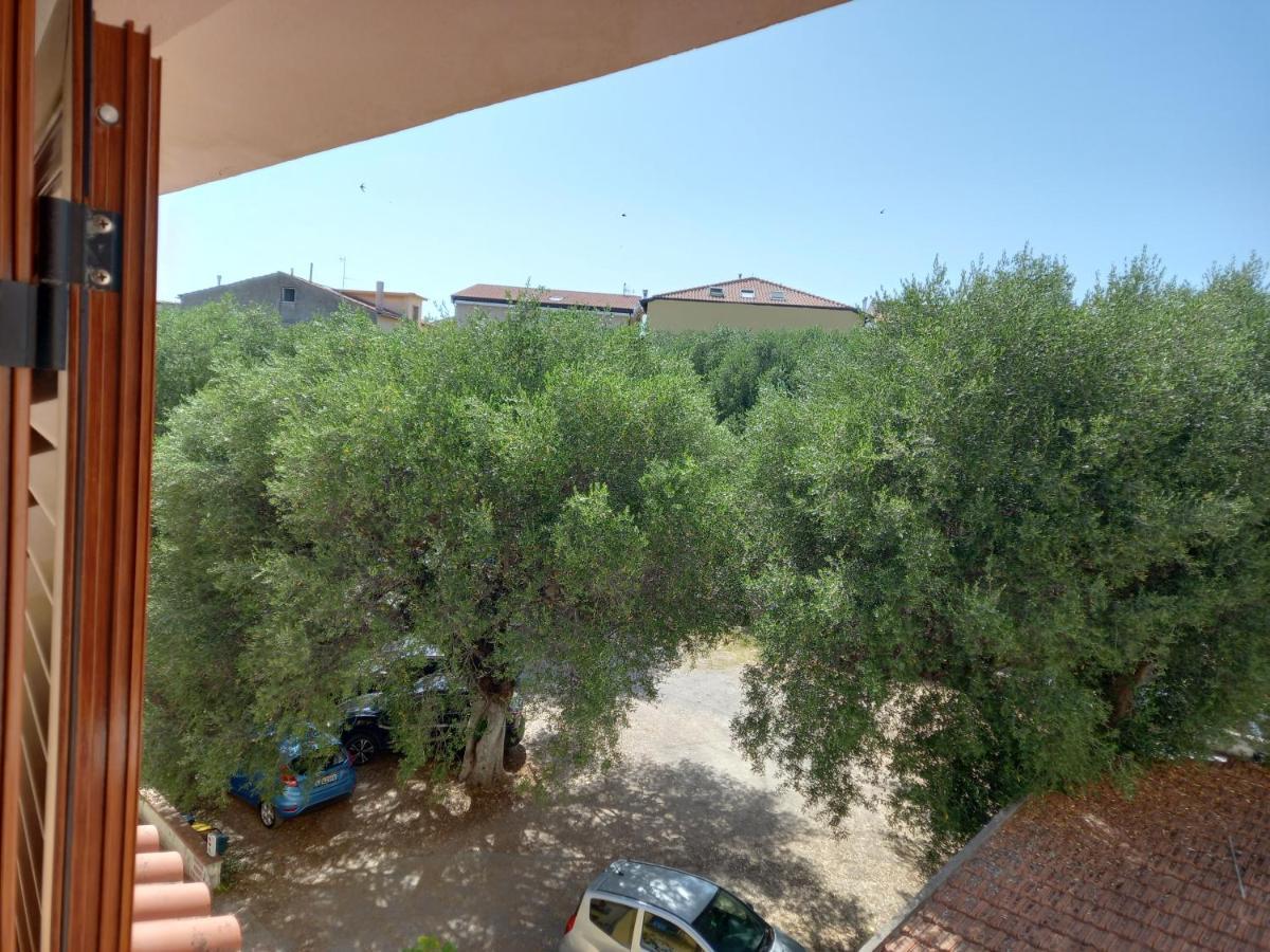 Cialoma Full Green Marina di Camerota Exterior foto
