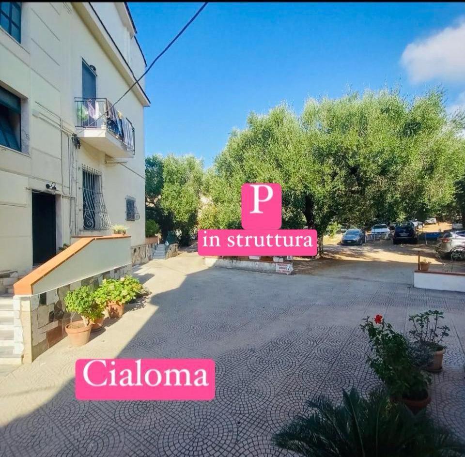 Cialoma Full Green Marina di Camerota Exterior foto